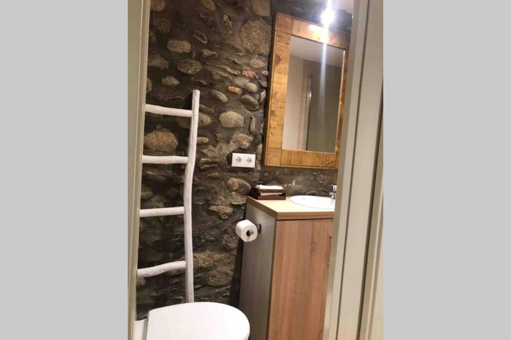 Puigcerda Centro. Acogedor Apartament En El Pueblo Bagian luar foto