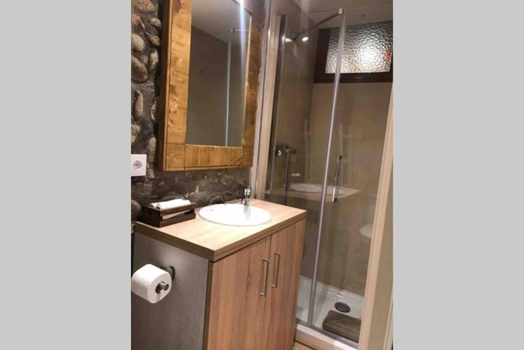 Puigcerda Centro. Acogedor Apartament En El Pueblo Bagian luar foto